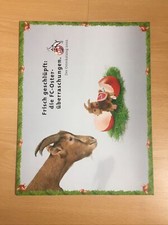 1. FC Köln Fan Artikel Katalog Saison 2002 Fanartikelkatalog Ostern VPV