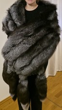 Atemberaubender Silberfuchs