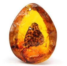 Schmetterling Bernstein Fossil Insekten Edelsteine Amber Handstein Taschenstein