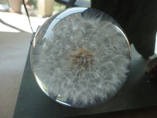 Paperweight/Briefbeschwerer