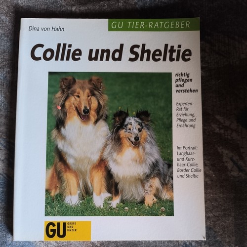 Collie sheltie pflegen - collie,