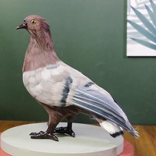 Schaumstoffimitat Taube Vogel