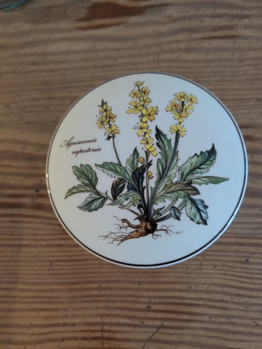 Villeroy boch botanica dose - &,