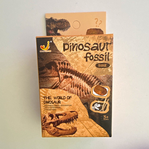 Dinosaurier fossil knochen - dinosaurier-fossil,
