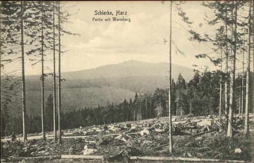 Schierke harz partie - harz,