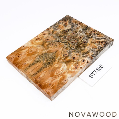 Buckeye burl kastanie maser - buckeye,