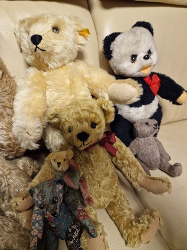 Teddys steiff verschiedene - teddys, steiff/
