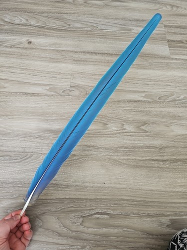 Feder - 54,4, cm