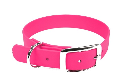 Biothane hunde halsband - biothane, hunde-halsband