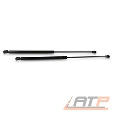 2X GASFEDERN HECKKLAPPE FÜR