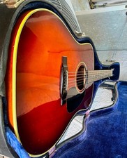 Alvarez Acoustic Guitar 5025