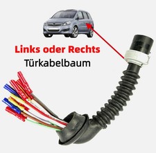 Tür türe hinten links - hinten,