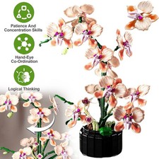 866 Stück Orchidee Blumen