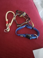 Set 9 2 Halsbänder Und 1 Geschirr Kleine Hunde