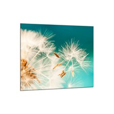 Küchenrückwand Glas 65x60