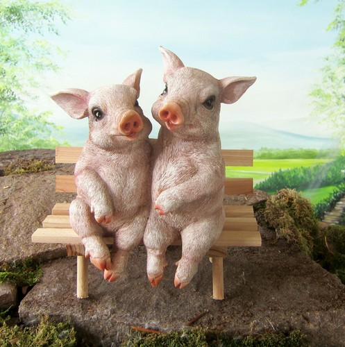Schweine auf der bank - auf,
