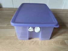 Tupperware Gefrierdose (L:22/B:15/H:9cm)