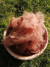 Alpaka Rohwolle light brown,hellbraun, Bastelwolle, ca. 1000 g, B-Qualität