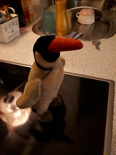 Steiff pinguin ohne knopf - steiff, 15