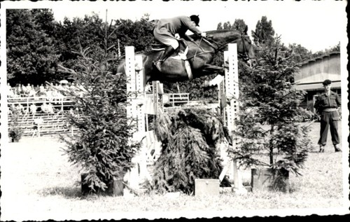 Foto springreiten sprung - ak, springreiten,
