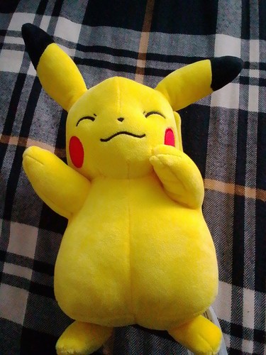 Pokemon kuscheltier zustand - kuscheltier,