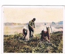 Auf Deutscher Scholle Nr. 216