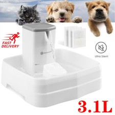 3.1L Trinkbrunnen Haustier