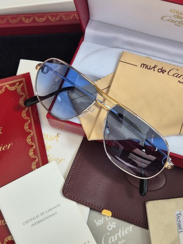 Cartier tank platin brille - platin,