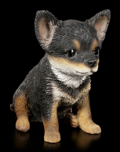 Hunde welpen figur chihuahua - hunde,