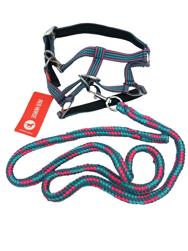 Red horse halfter - horse, set