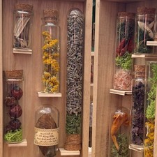 Botanisches Herbarium im Glas