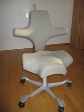 HAG Capisco 8106 Bürostuhl CPT5103 Hellgrau 2025 gekauft wie NEU