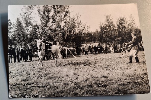 Altes foto vintage - foto,