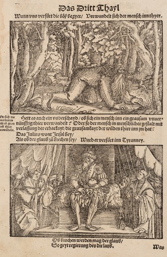 Weiditz - h.,
