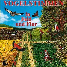 Vogelstimmen feld und - vogelstimmen,