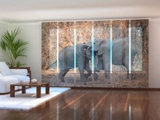 Fotogardine Elefanten