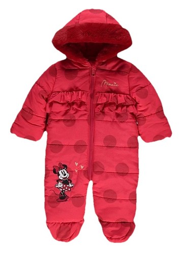 Disney minnie mouse rot - mouse,