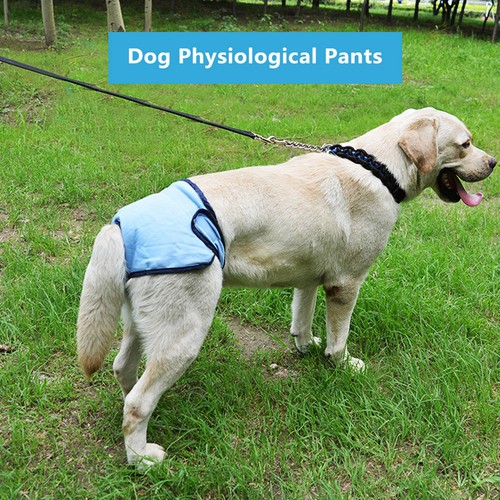 Dog polyester pants - dog, für