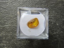 kleiner Bernstein mit Einschluss (Fliege) in Lupenwürfel