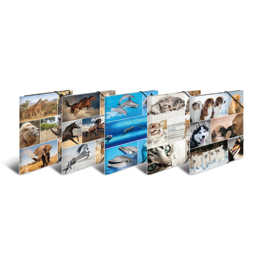 Herma sammelmappe postmappe - sammelmappe,