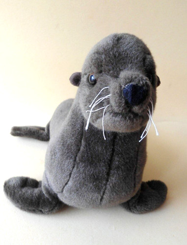 Robbe seehund teddy - robbe,