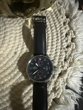 FORTIS Pilot Flieger