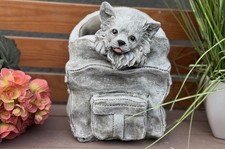 Steinfigur Chihuahua in Tasche