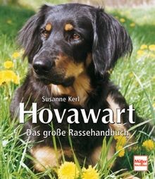 Hovawart das große - das,