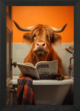 Highland Cowon The Toilet