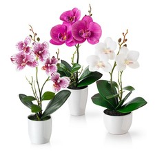 PASCH® Künstliche Orchideen