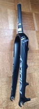 Ridley Carbon Gabel Starrgabel