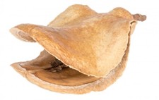 Nadeco froschmaulschote natur - nadeco,