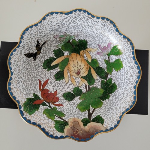 Cloisonne schale - cloisonne,