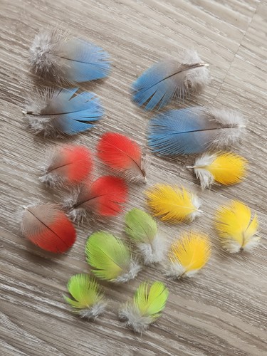 Bunte - x, 💙💛💚❤️